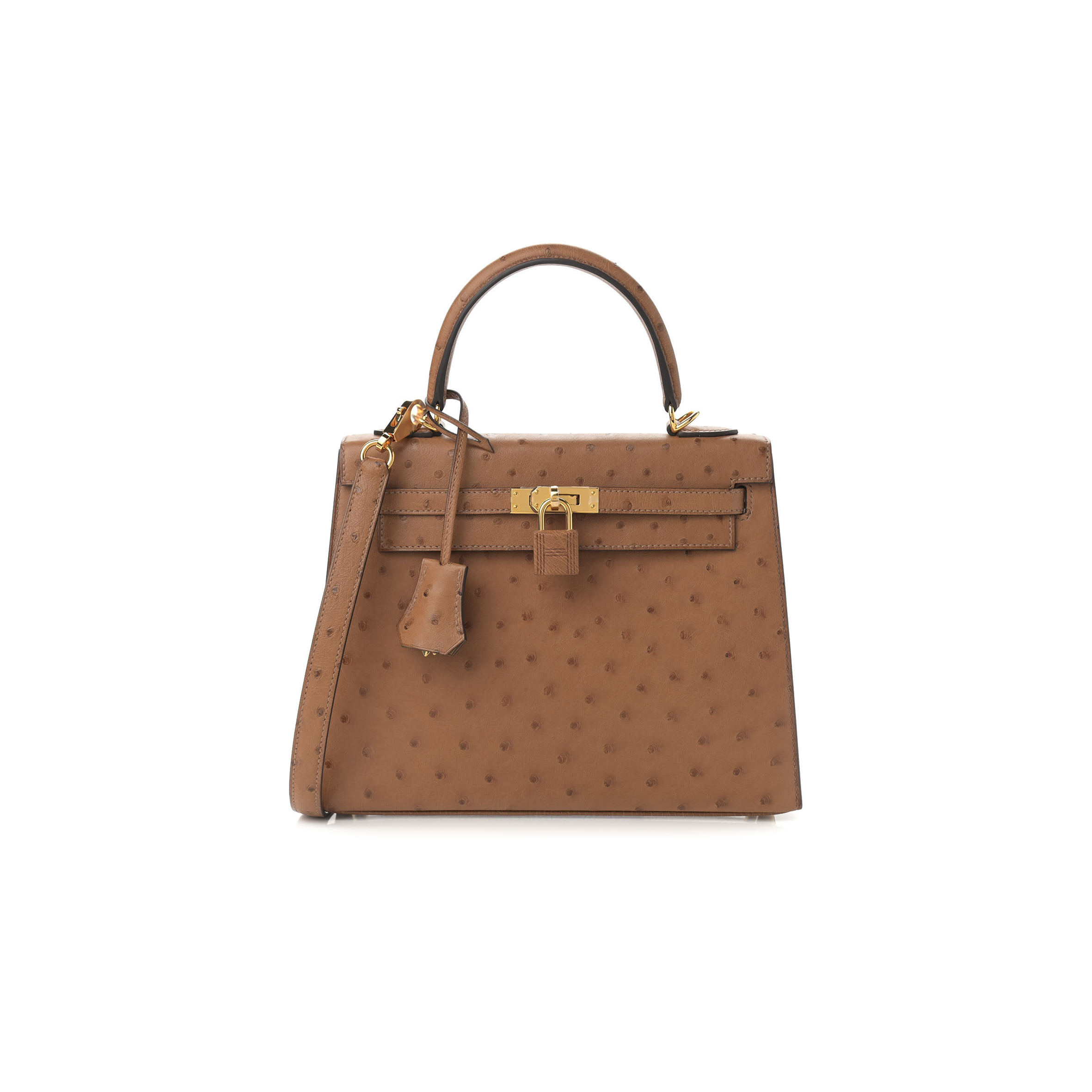 HERMÈS MASTER KELLY 25 OSTRICH LEATHER VELVET GREEN AND ROYAL BLUE BRUSHED GOLD BUCKLE (25*17*7cm) 